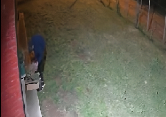 Siguen los robos en el barrio Mirador del Paraná: ahora se llevaron hasta las macetas