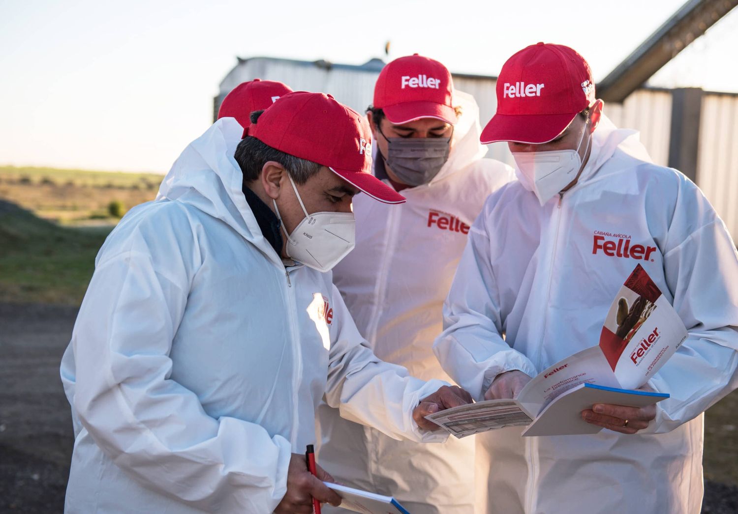 Grupo Motta mejora cada día la Industria Avícola Argentina