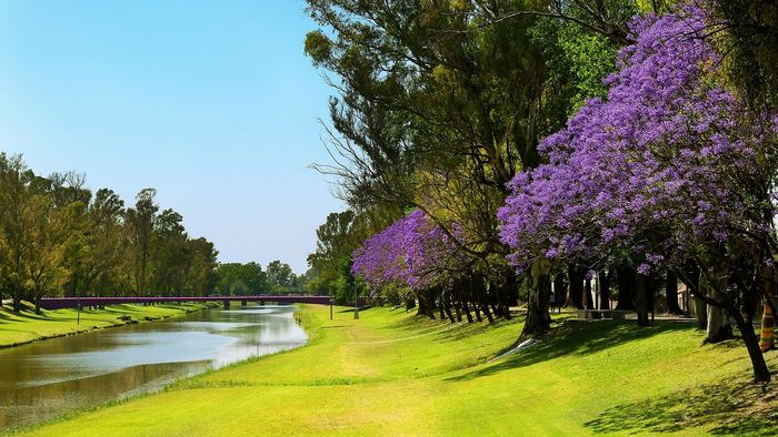 El destino rural con doce pueblos escondidos para descubrir en Buenos Aires