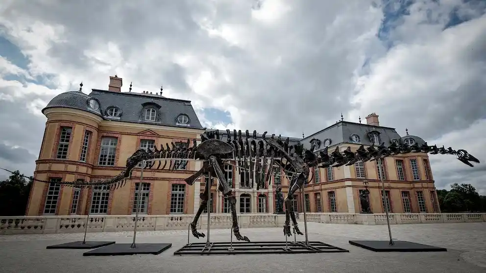 Subastaron el esqueleto de dinosaurio “más grande del mundo” (Photo by STEPHANE DE SAKUTIN / AFP)