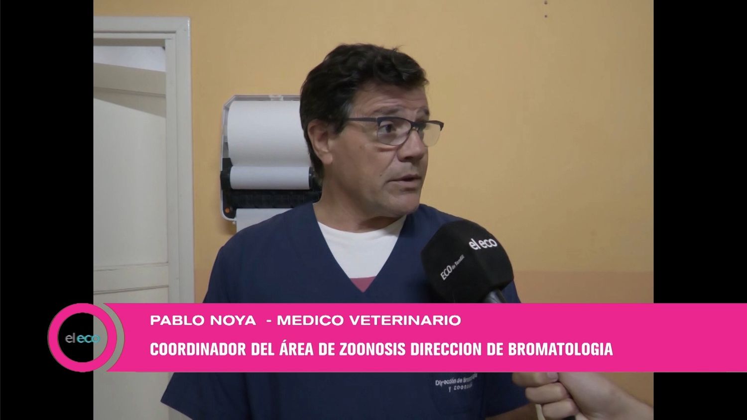 Día del Animal: continúa el programa de castración de Bromatología