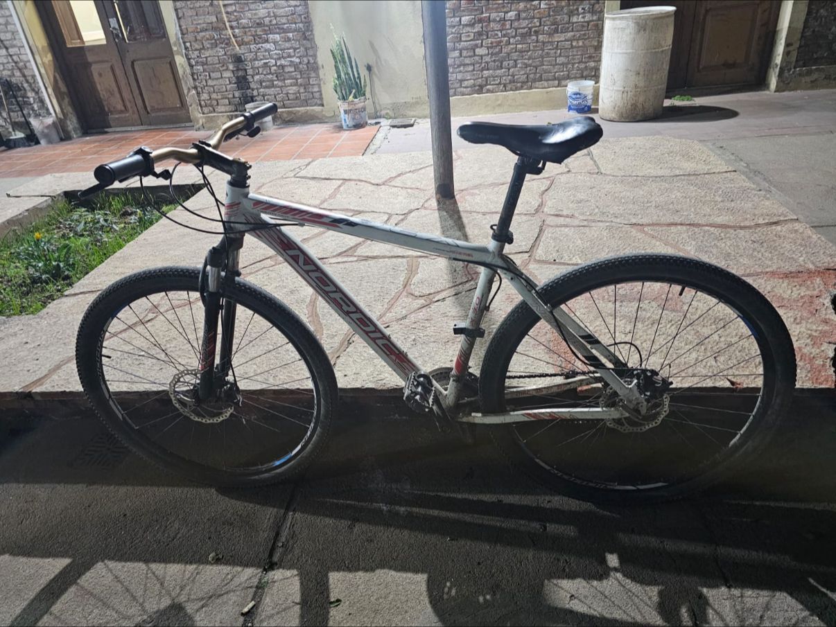 bici robada