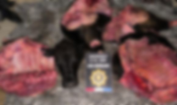 Los atraparon “paseando” con carne de dudosa procedencia, armas blancas y una carabina