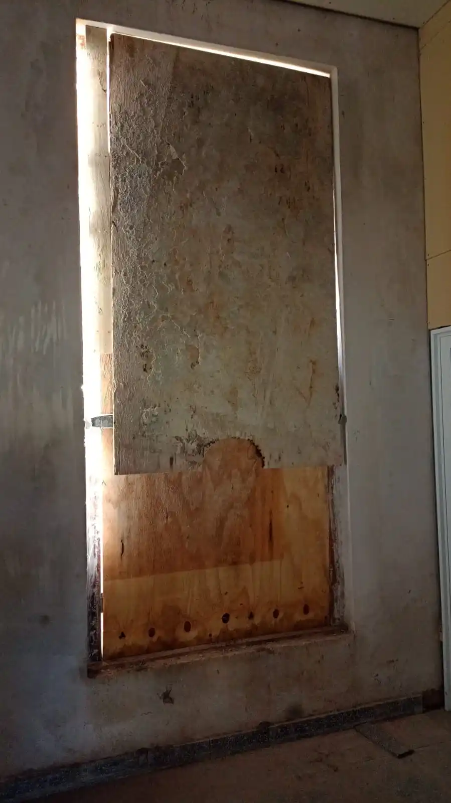 El estado de abandono es total (2)