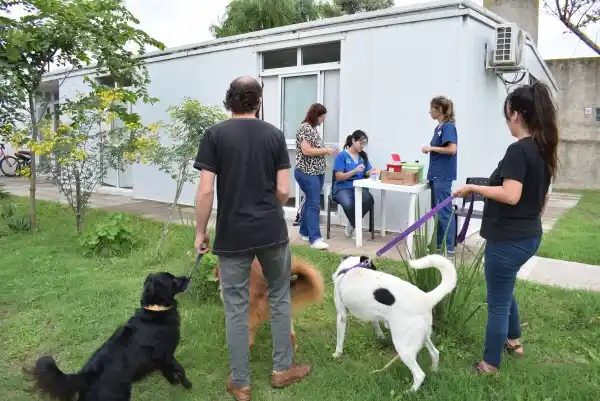 Reprogramación de la vacunación antirrábica en barrios de Chascomús