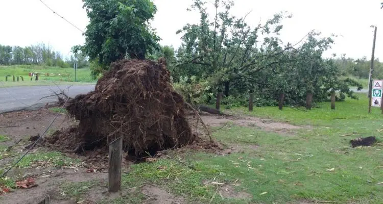 Las consecuencias del temporal: Postes, árboles caídos y un techo volado