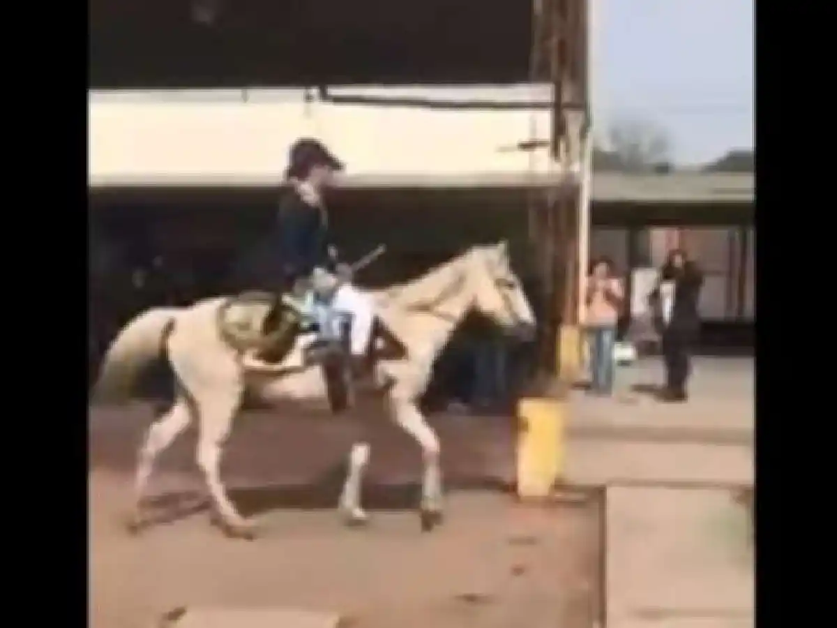 [VIDEO] Un profesor tucumano terminó ovacionado por el homenaje a San Martín