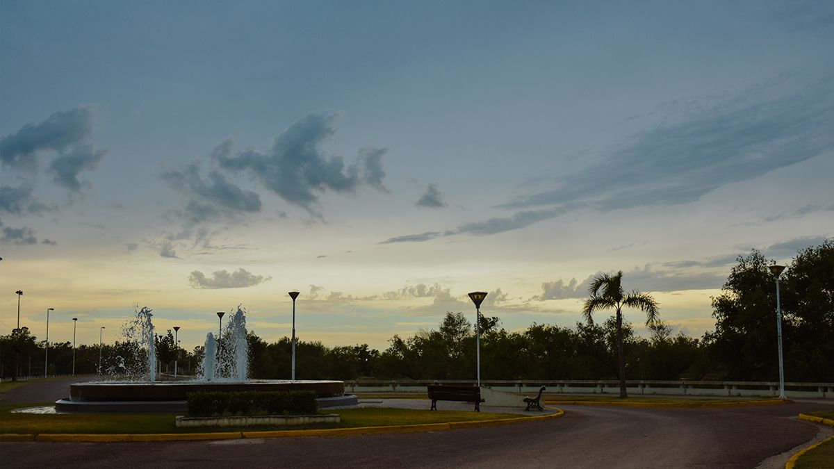 Covid-19: se registraron 20 fallecidos