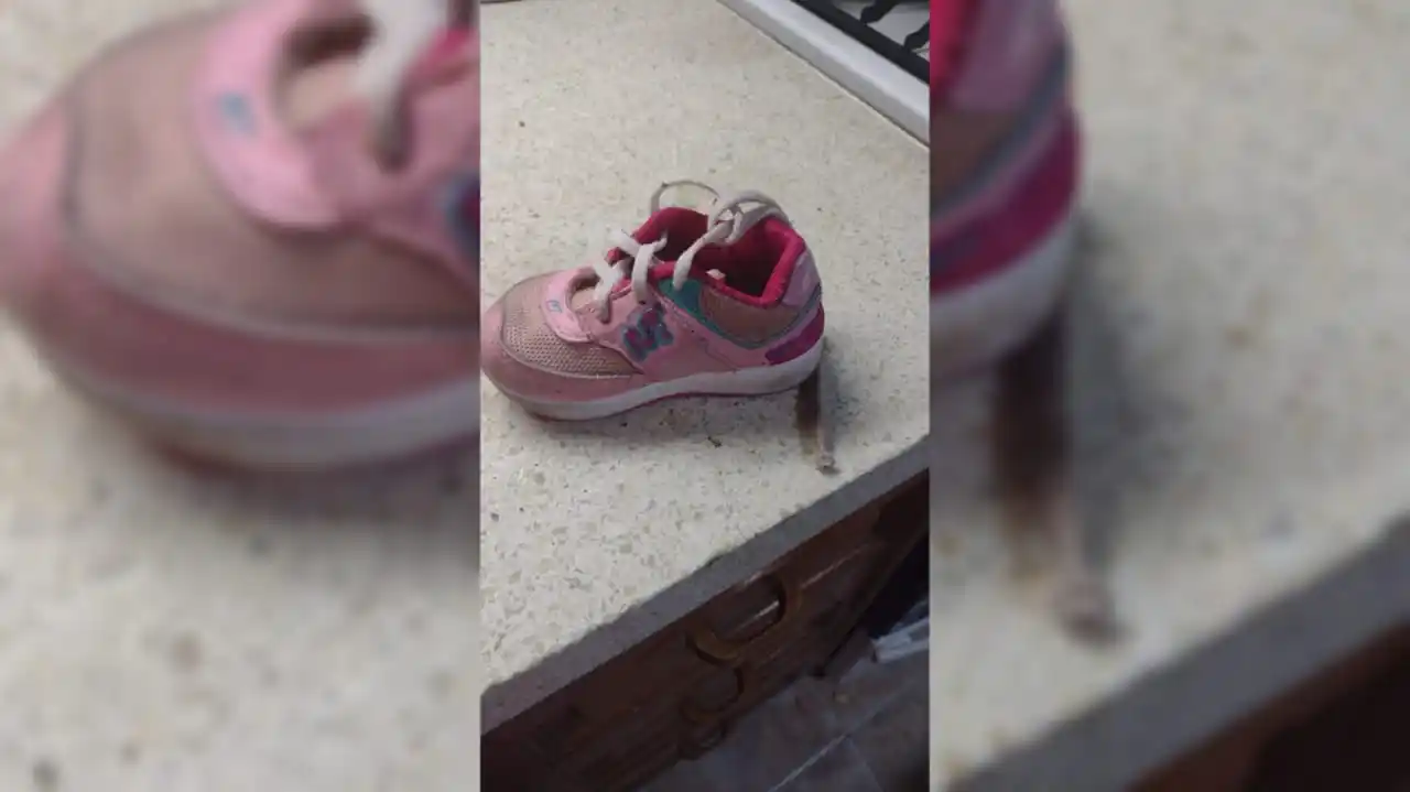 Encontraron una zapatilla