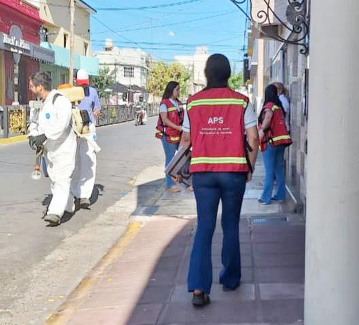 Prevención y erradicación del vector que transmite el dengue