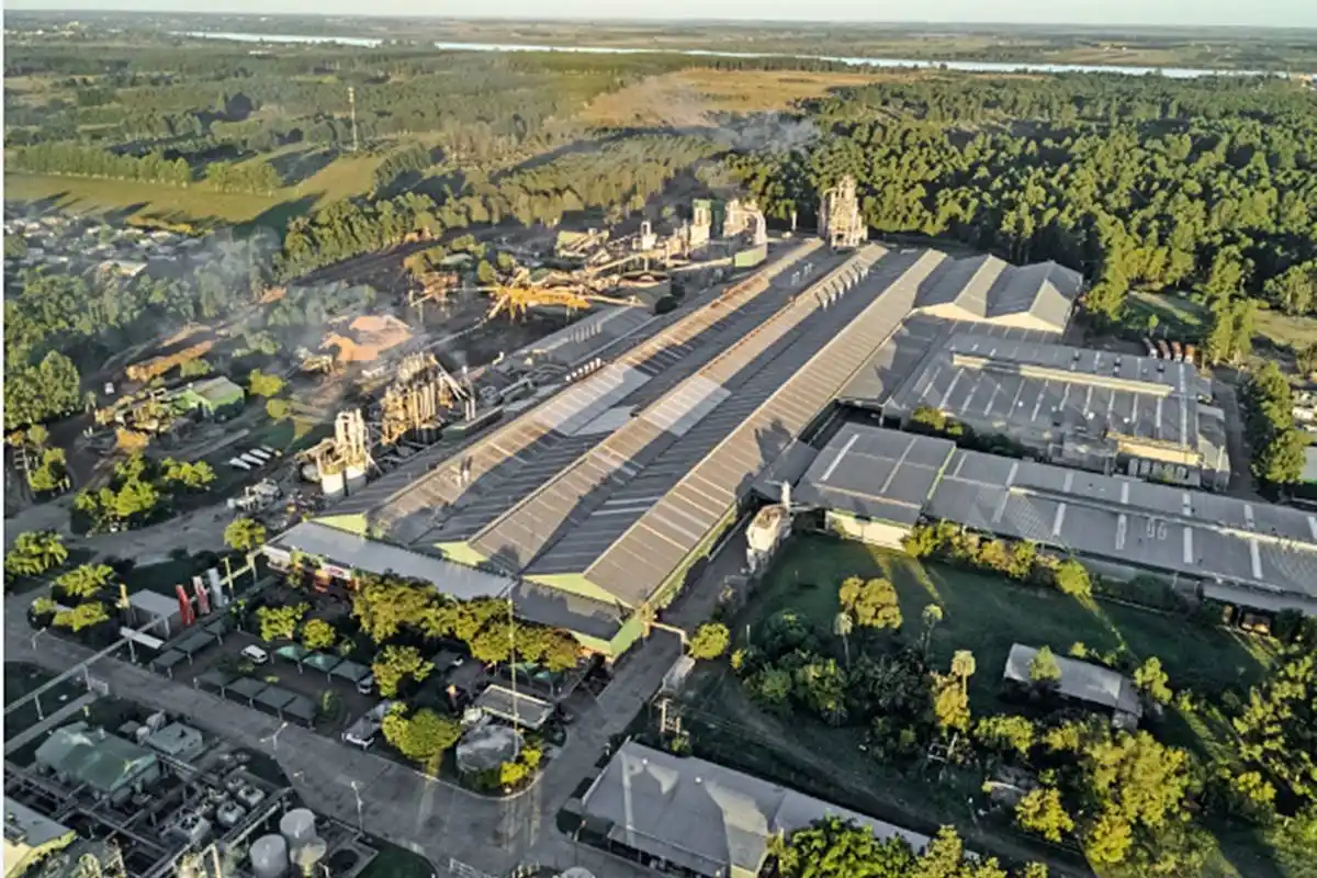 “Impacto cero implica una planta cerrada”: Egger respondió a los reclamos vecinales