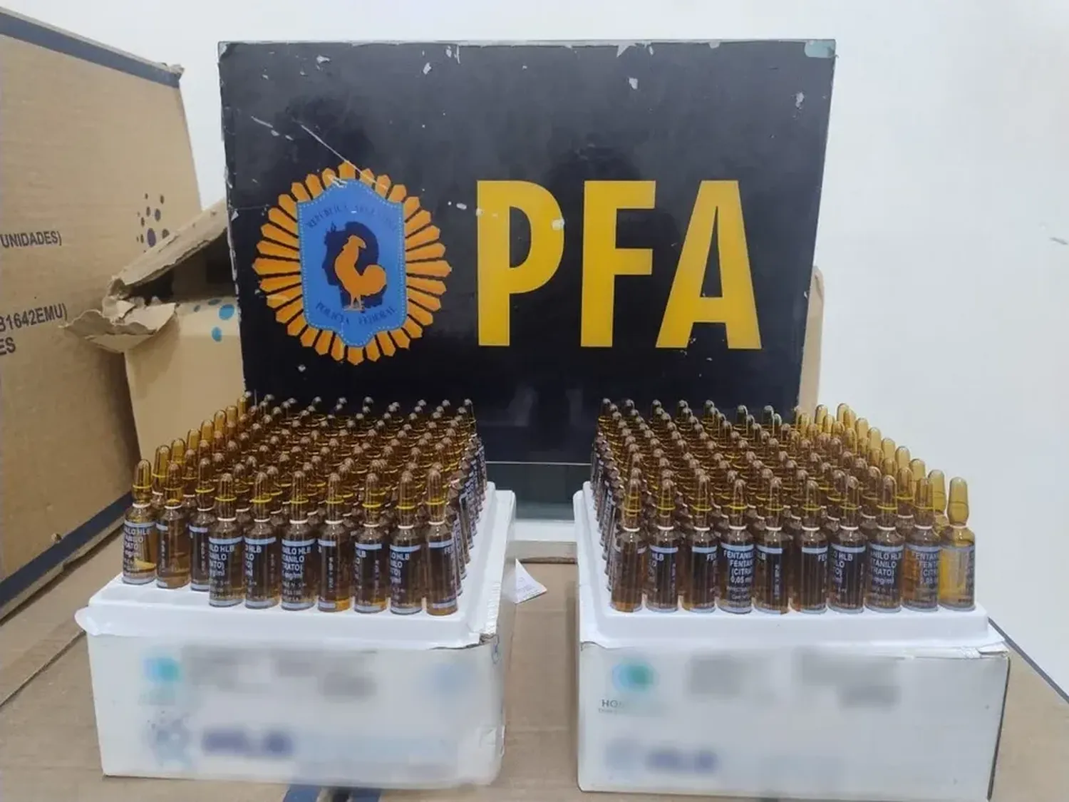 Fentanilo contaminado: todo lo secuestrado durante los allanamientos