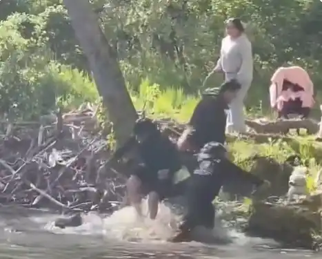 El castor apareció de forma agresiva mientras una familia disfrutaba de un picnic junto al río.
