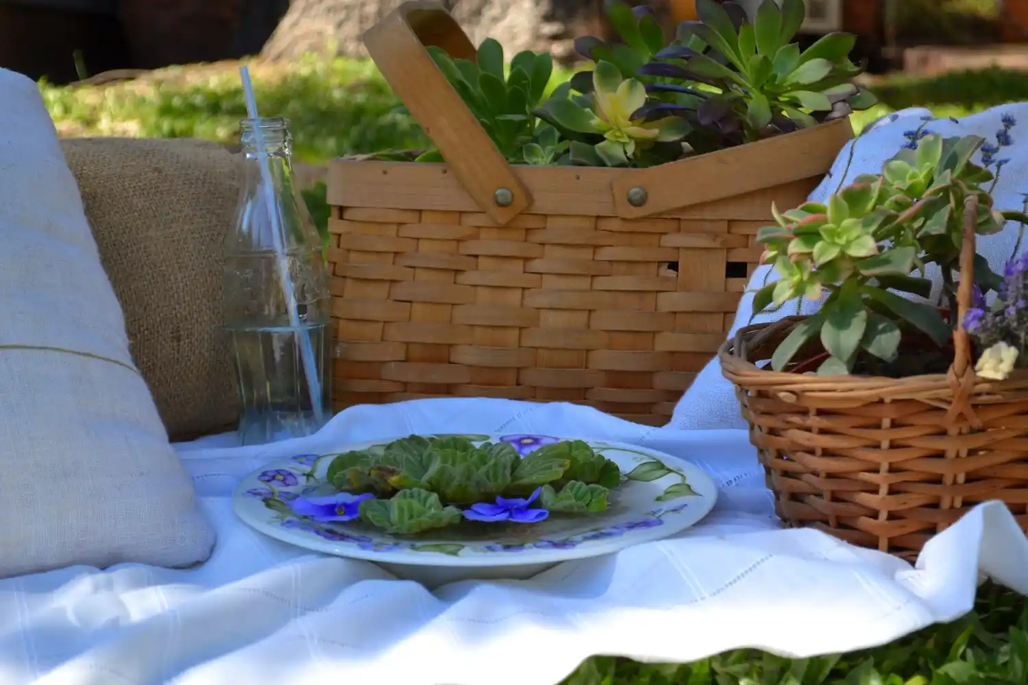 Todo lo que tu jardín debe tener