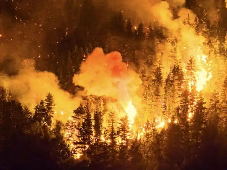Central lanzó una campaña solidaria por los incendios en la Patagonia