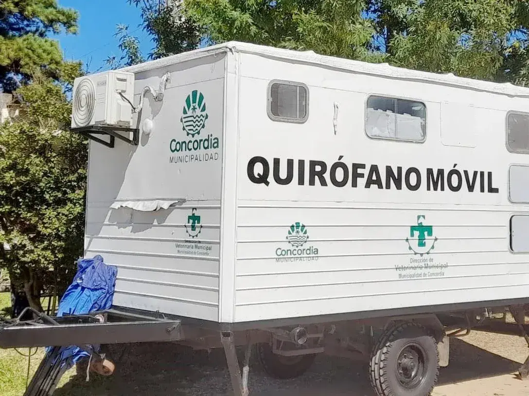 El programa de esterilizaciones barriales gratuitas atenderá en el barrio ex Aero Club