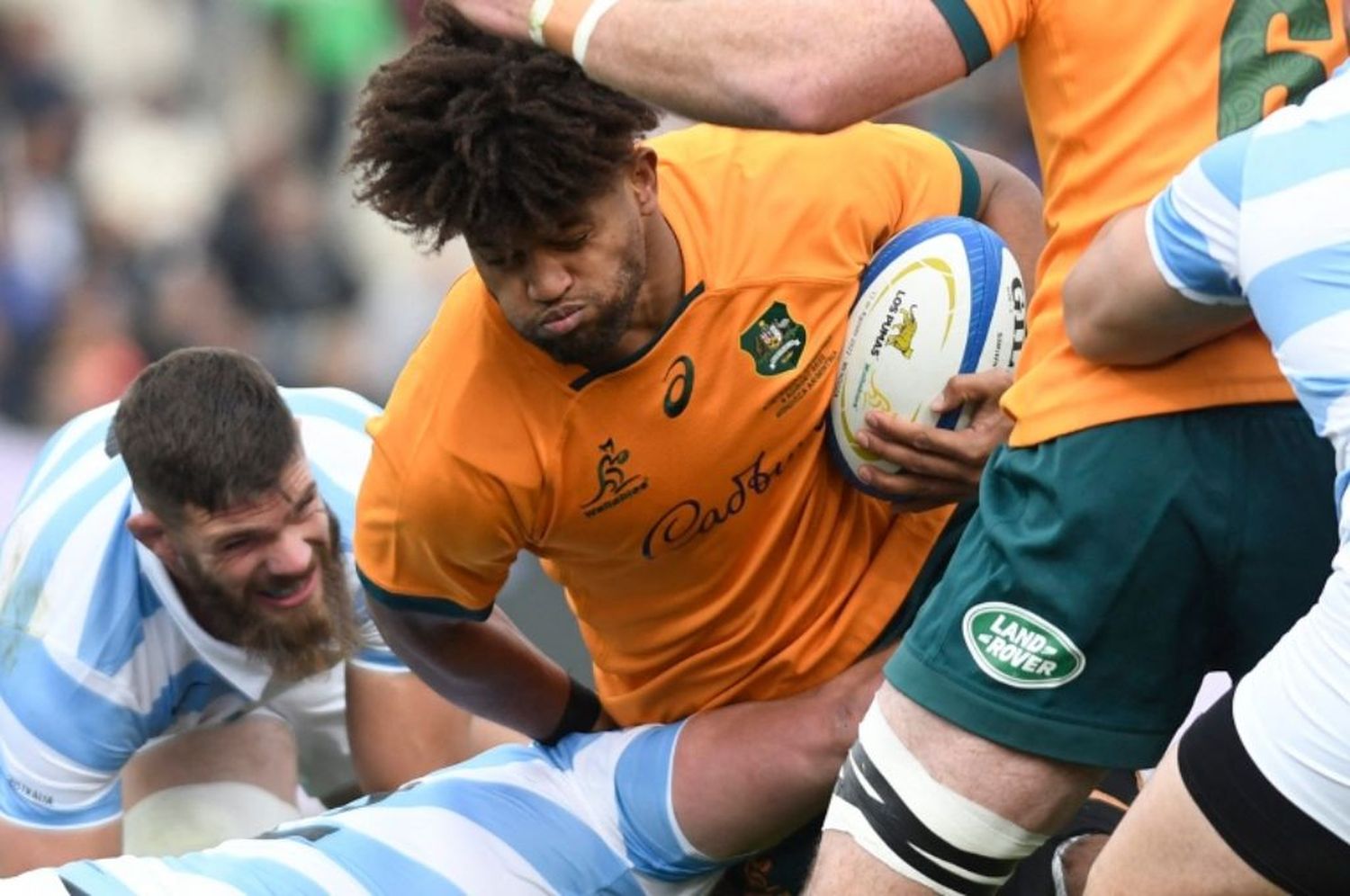 Los Pumas enfrentan a los Wallabies por la segunda fecha del Rugby Championship