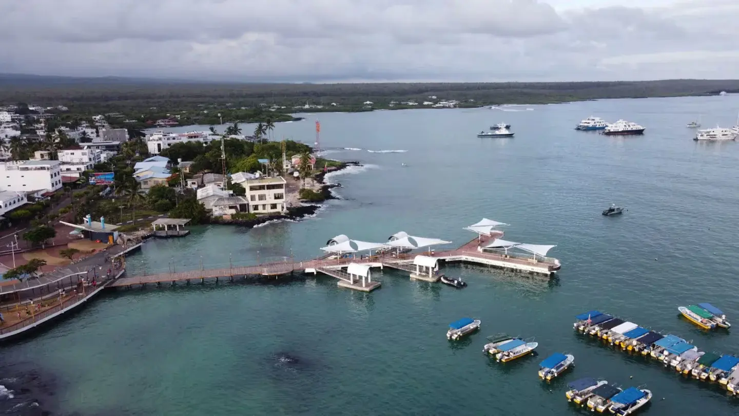 Islas Galápagos busca voluntarios para cuidar animales y ecosistemas marinos: cómo postularse