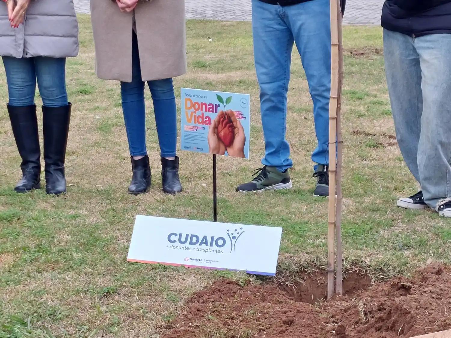 Hospital donantes - 5