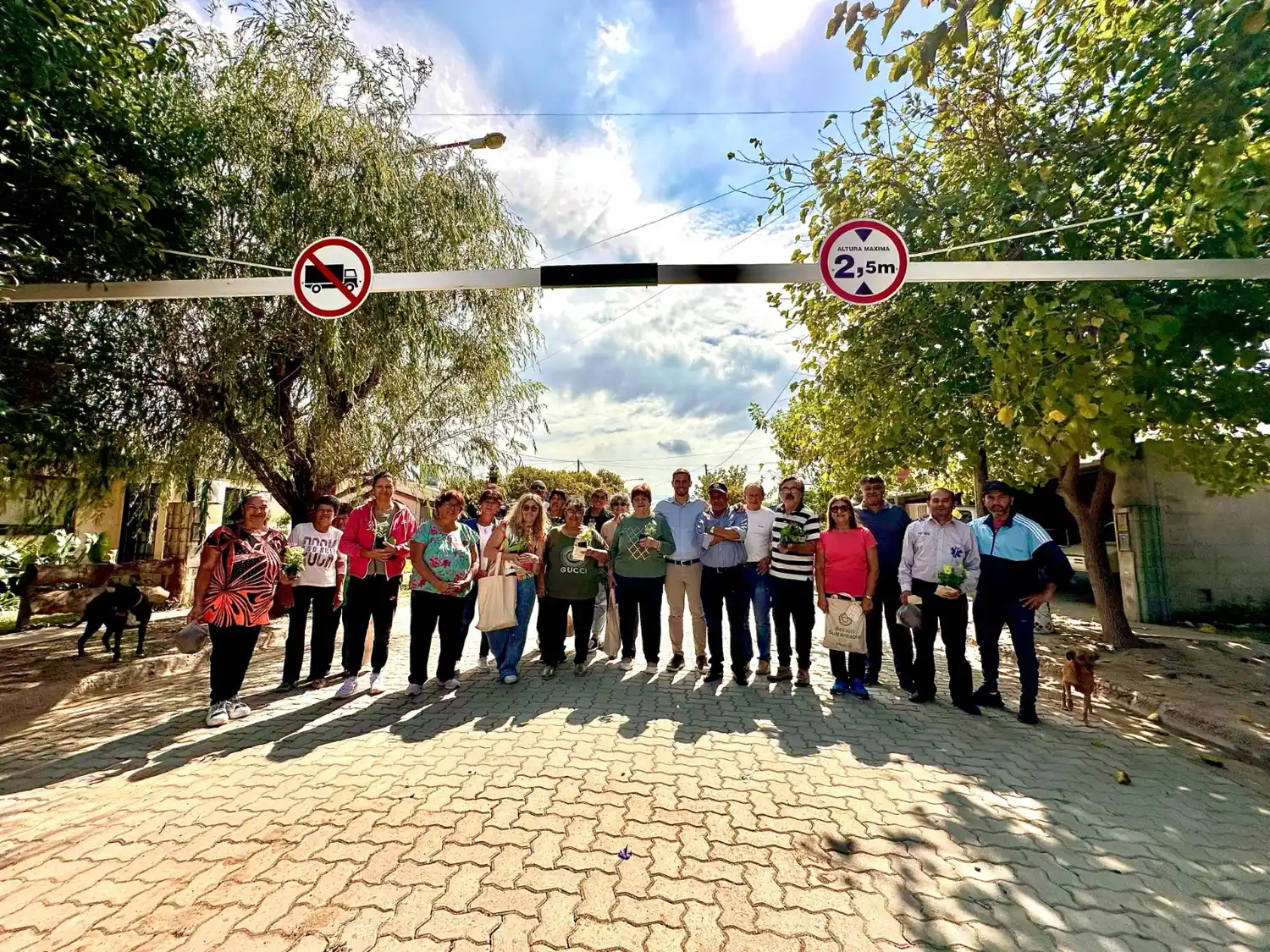 la francia pavimento