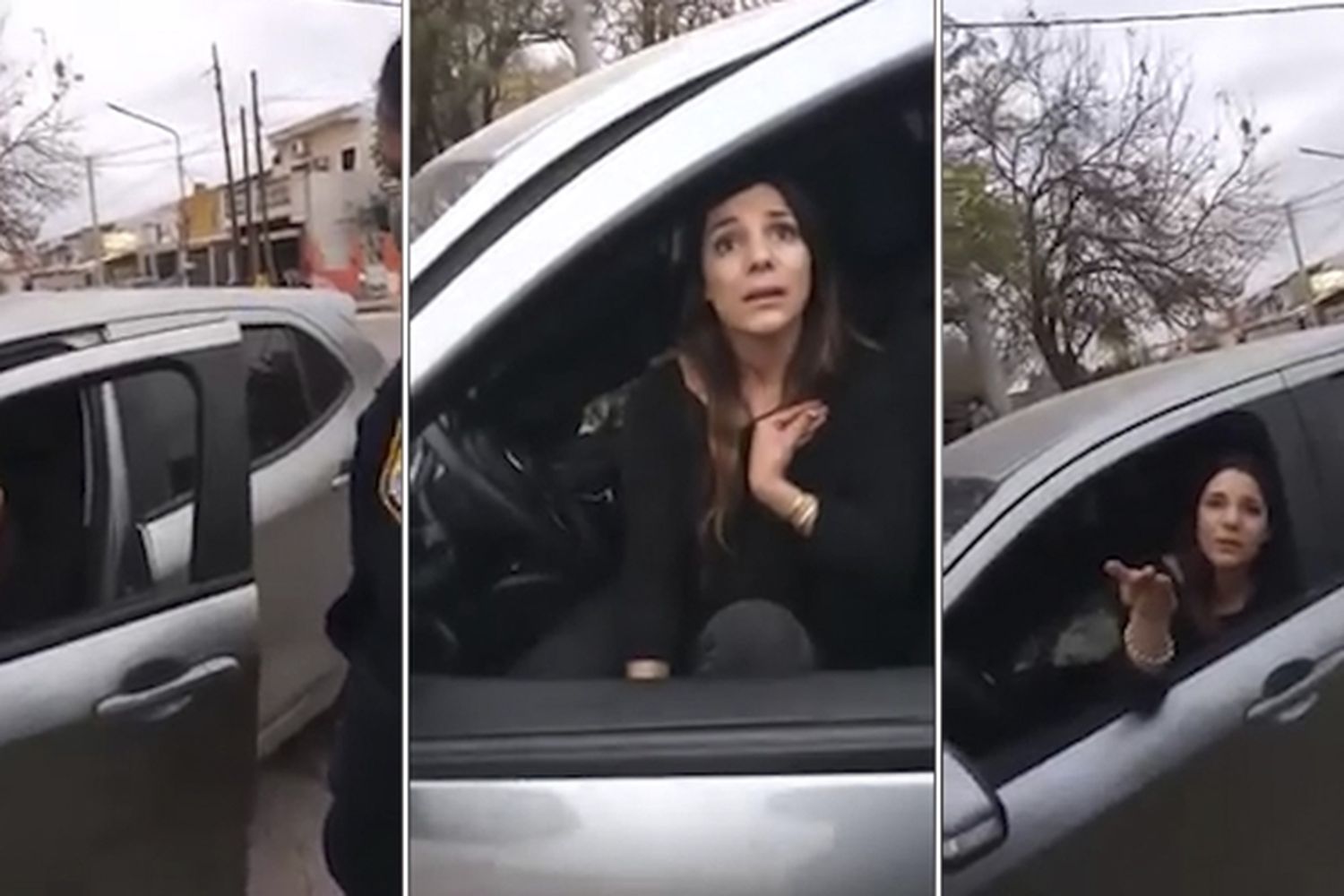 Papelón de una mujer que chocó e insultó a tres policías: "¡Dale, dejate de joder, boluda!"