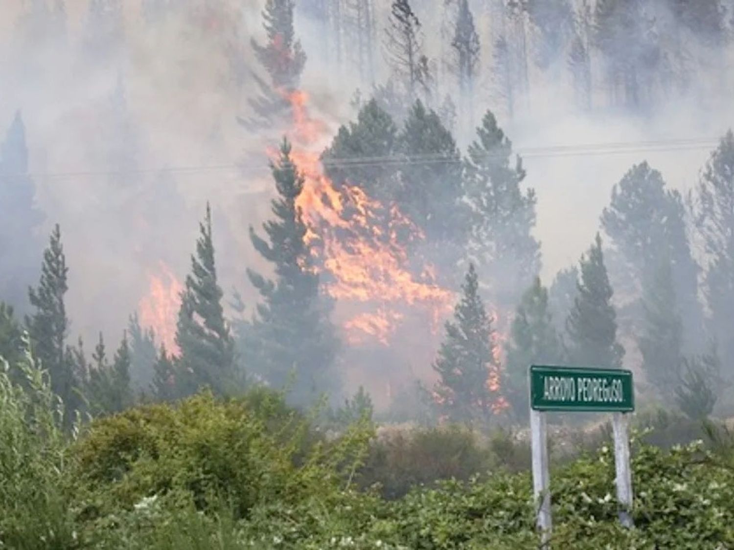 Sigue el incendio forestal en Epuyén y ya se quemaron más de 3 mil hectáreas