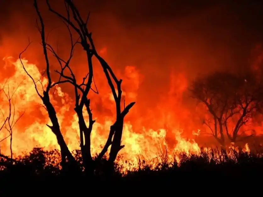 Eliminado el fondo contra el fuego: Milei apuesta al “sálvese quien pueda”