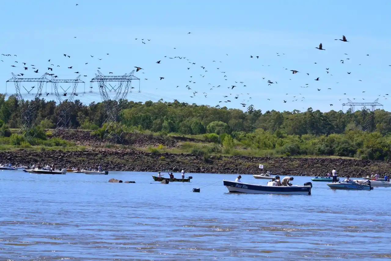 Nueva edición de la Fiesta Nacional Pesca de la Boga