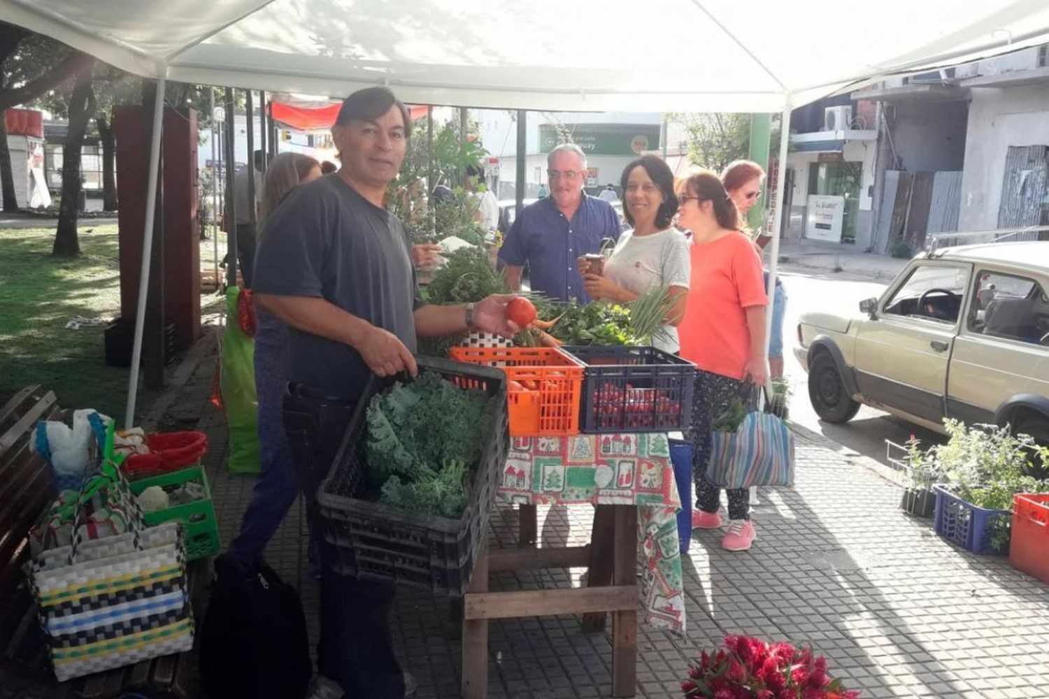 Ferias Agroecológicas