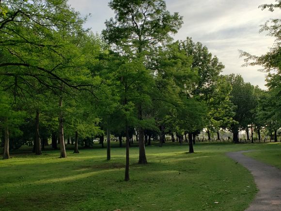 Feriado extralargo: actividades deportivas gratuitas para todas las edades en el Paseo Público