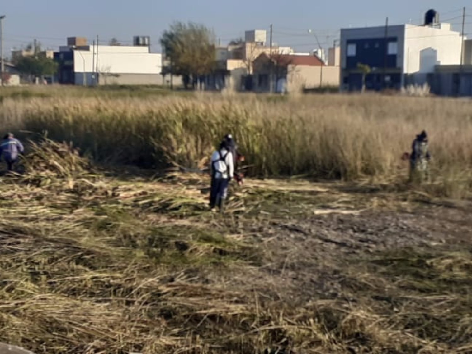 Realizaron tareas de mantenimiento en laguna de retardo y espacios verdes