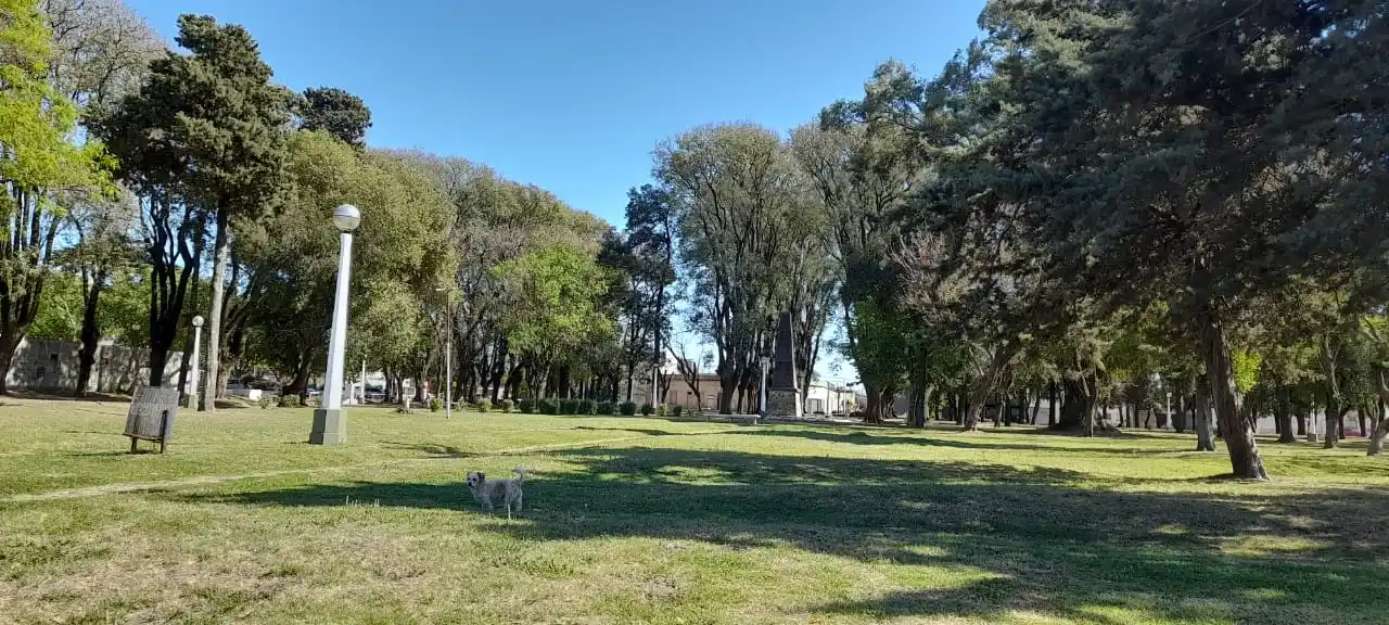 Pronostican tiempo muy cambiante en Gualeguay y la zona