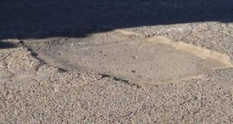 Homenaje al bache