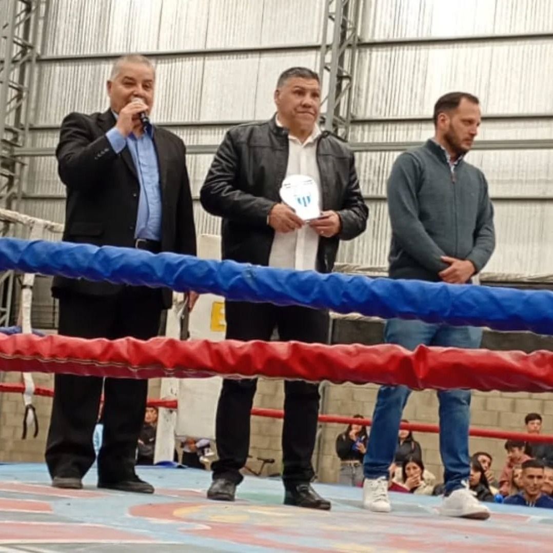 Boxeo