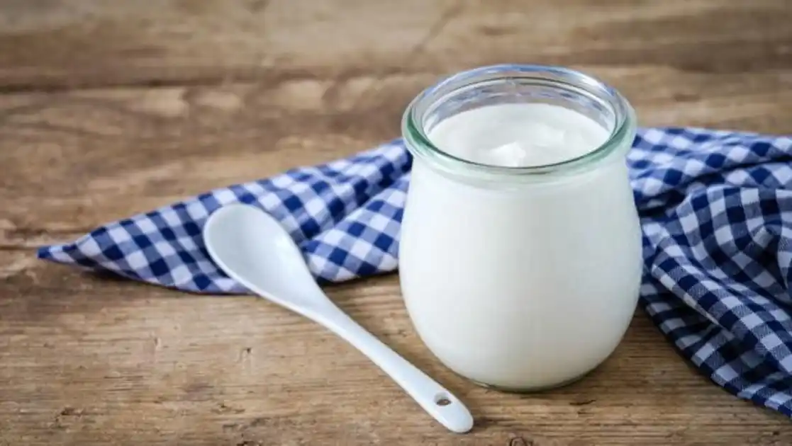 Un yogur desarrollado con tecnología del Conicet estimula el sistema inmune