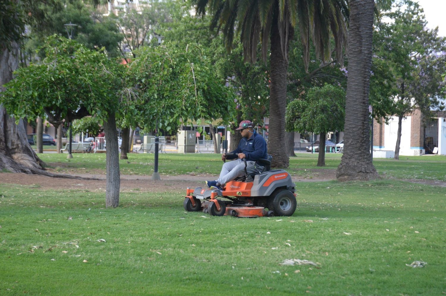 Trabajo de corte de césped.