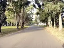 Promocionan la caminata por el “Día del Medio Ambiente”
