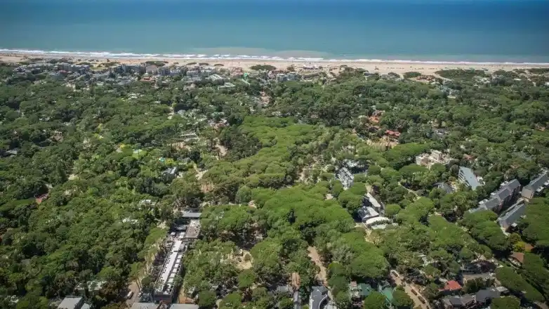 Proponen alambrar toda la localidad de Cariló para que sea más segura ante el delito