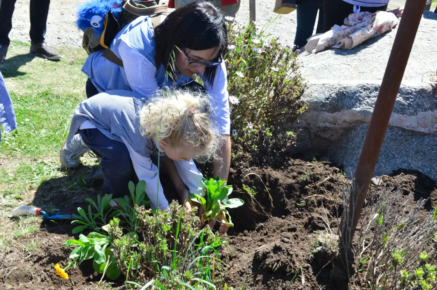 colegio nuestra tierra - 2