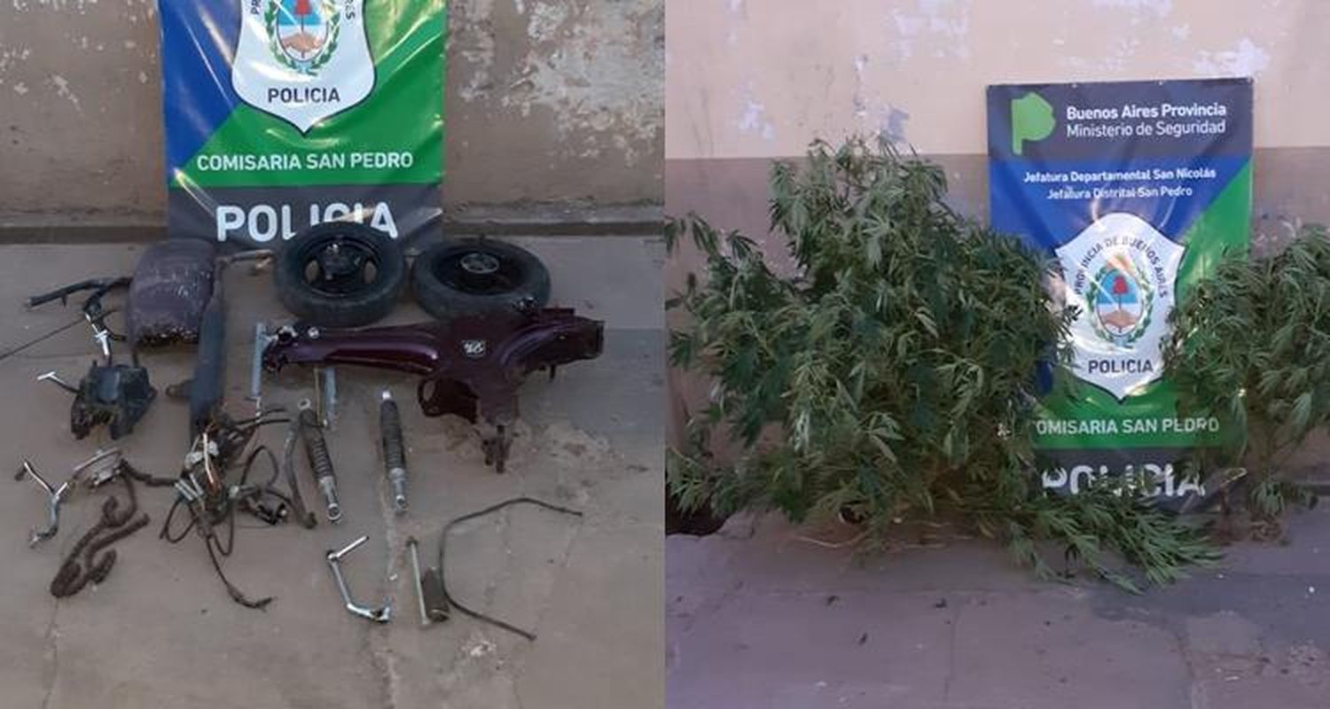 Allanaron una casa y encontraron motopartes robadas y tres plantas de marihuana