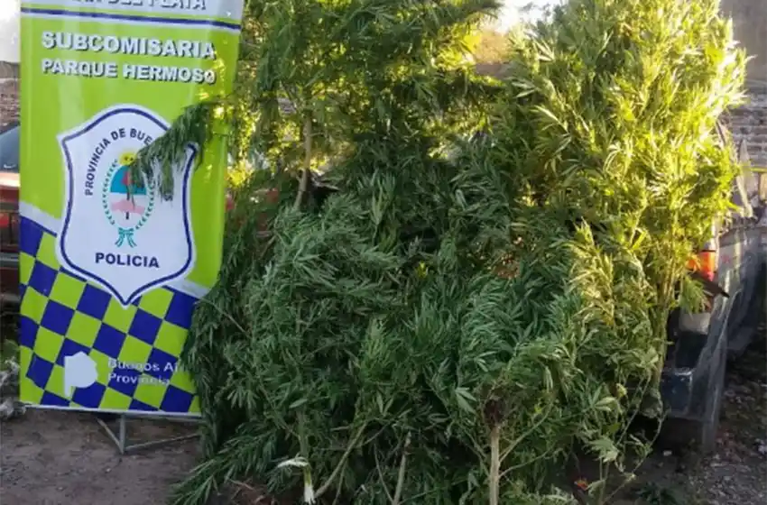 Cargaba ladrillos en un camión, discutió con un vecino y éste le disparó