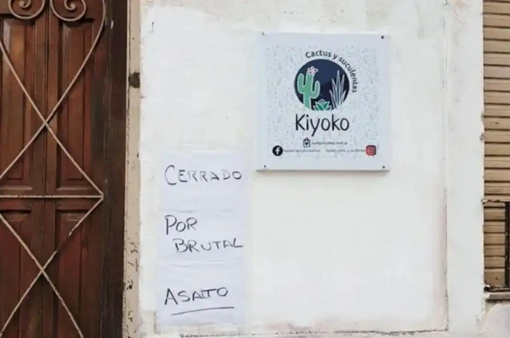 Delincuente le pegó patadas en la cabeza a una mujer para robar en su comercio