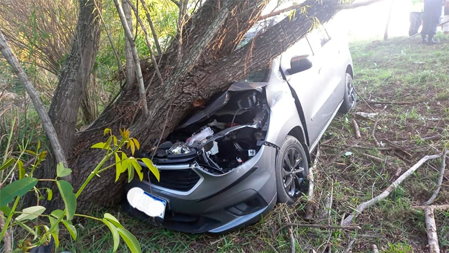 Una familia sufrió un tremendo accidente en la ruta 12: terminaron incrustados contra un árbol