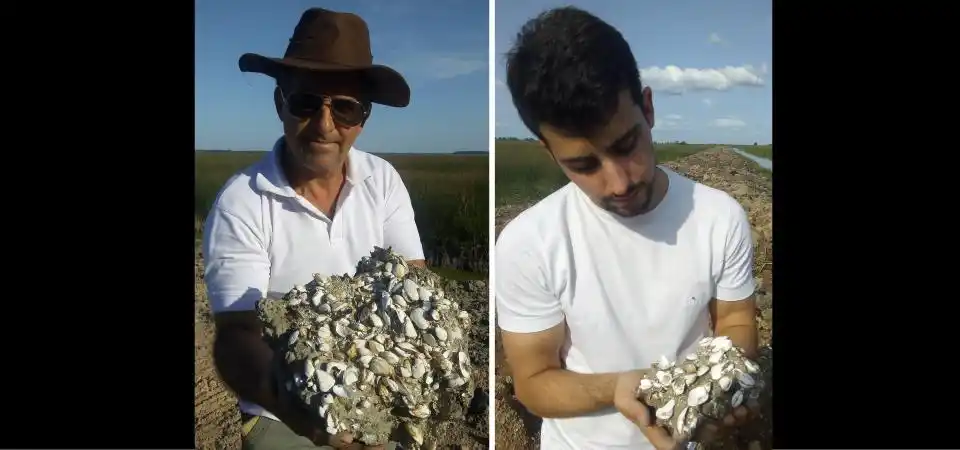 ¿Mar en San Pedro? Descubren restos de una playa de 5 mil años de antigüedad 