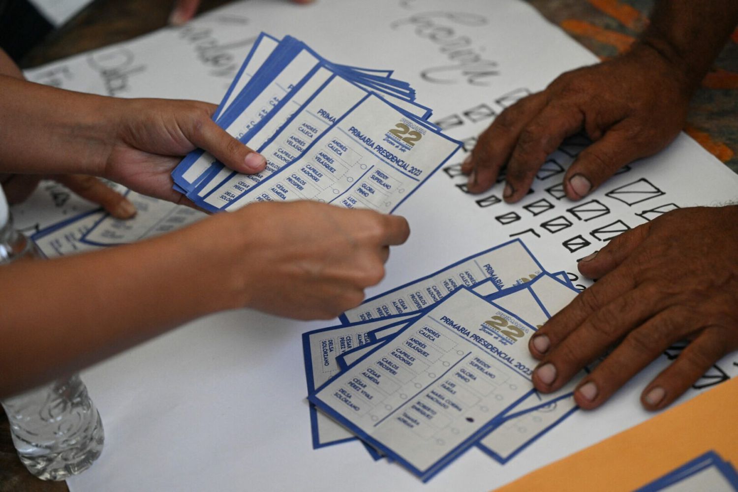 Organización que observó la primaria contabilizó un 12% de PARTICIPACIÓN CIUDADANA