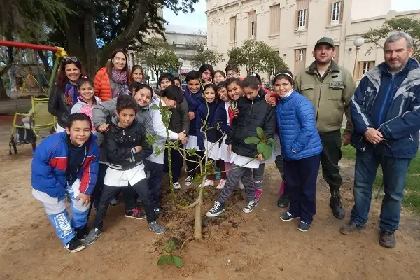 Escuelas participaron de la plantación de árboles nativos 
