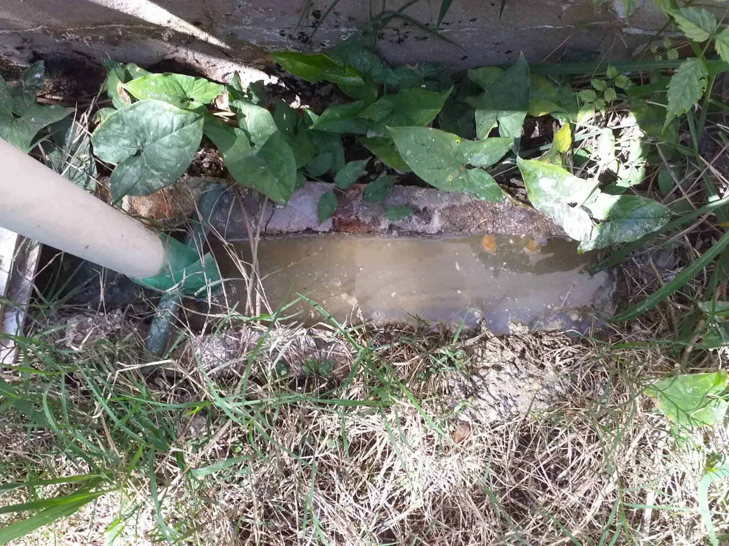 Cloacas tapadas en Dr. Rojas y Aníbal de Antón