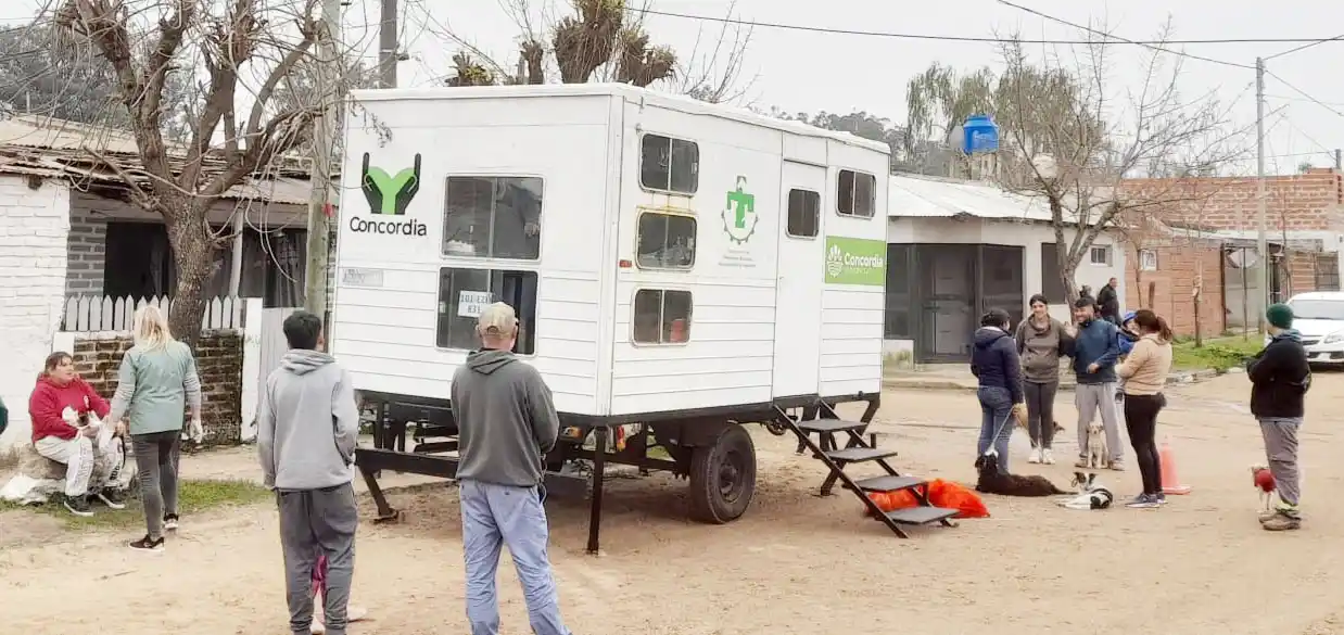 Programa de esterilizaciones barriales gratuitas