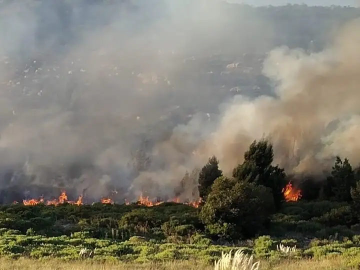 El incendio forestal, que terminó afectando alrededor de 150 hectáreas, en el sector  de Sierra de los Padres aún no está controlado.