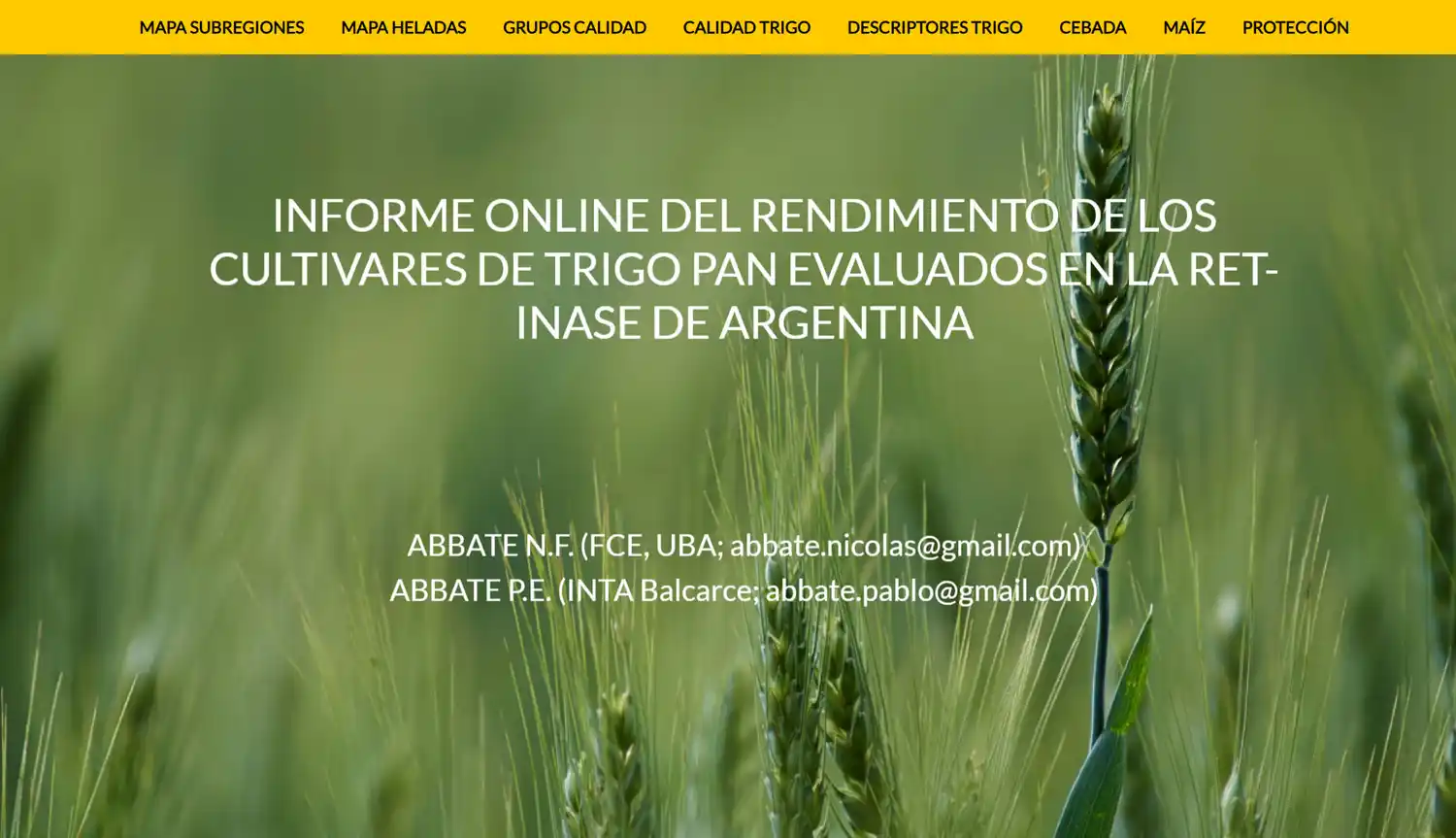 Cultivaresargentinos.com, un insumo digital para planificar la fina